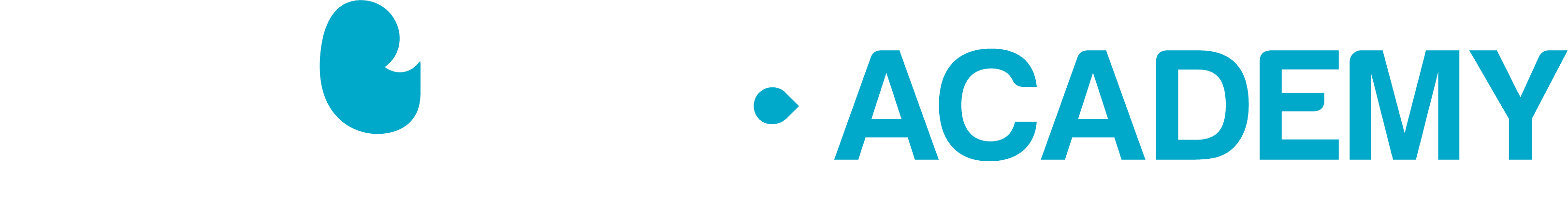 Academy